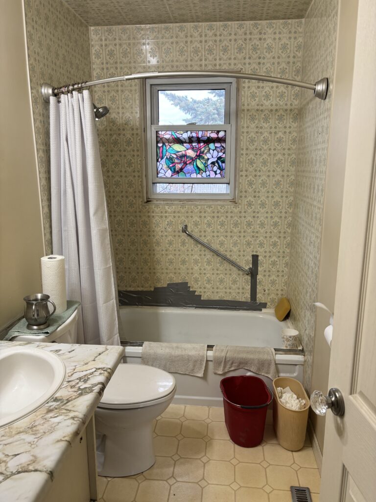 Old Bathroom Renovation project photo 1