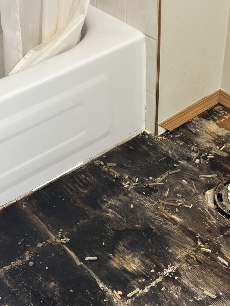 Water Damage On Bathroom Floor with Mold project photo 2