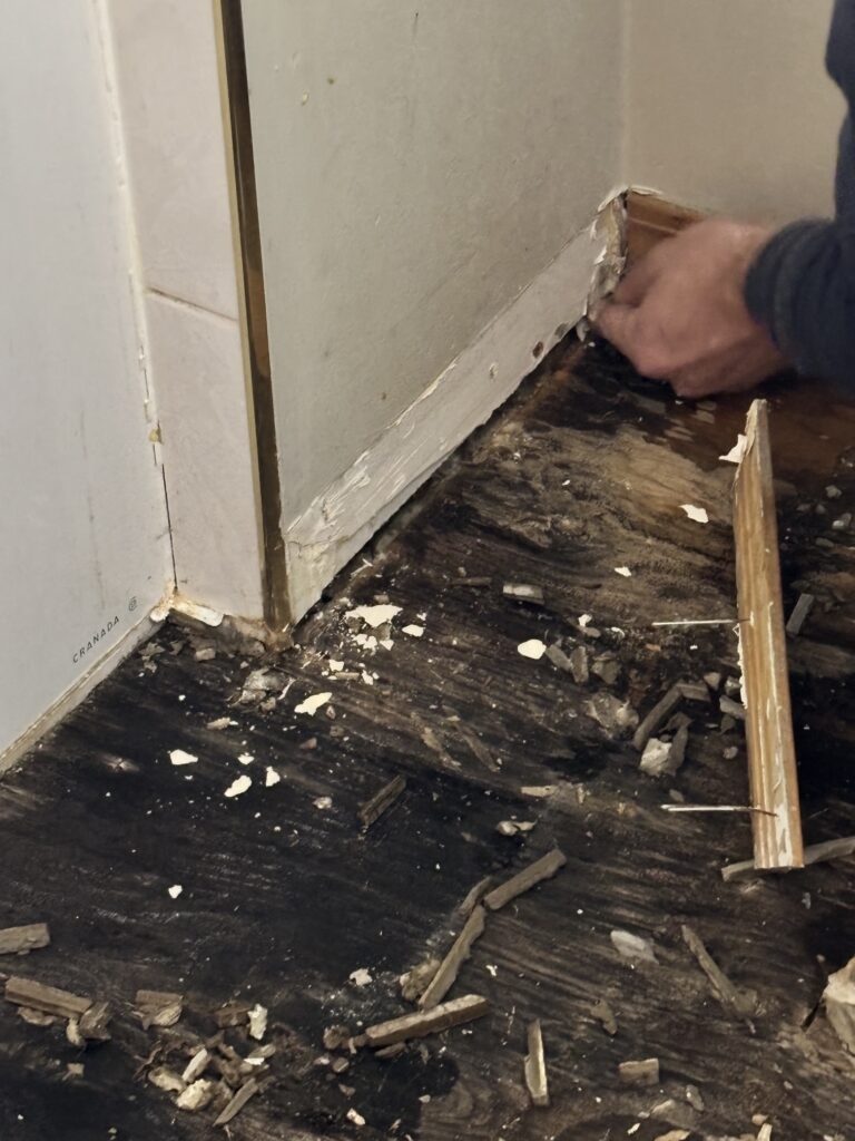 Water Damage On Bathroom Floor with Mold project photo 1