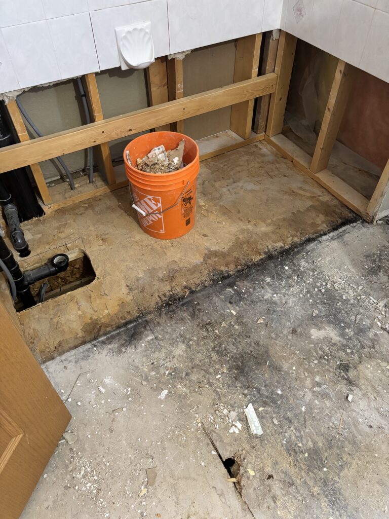 Water Damage On Bathroom Floor with Mold project photo 3