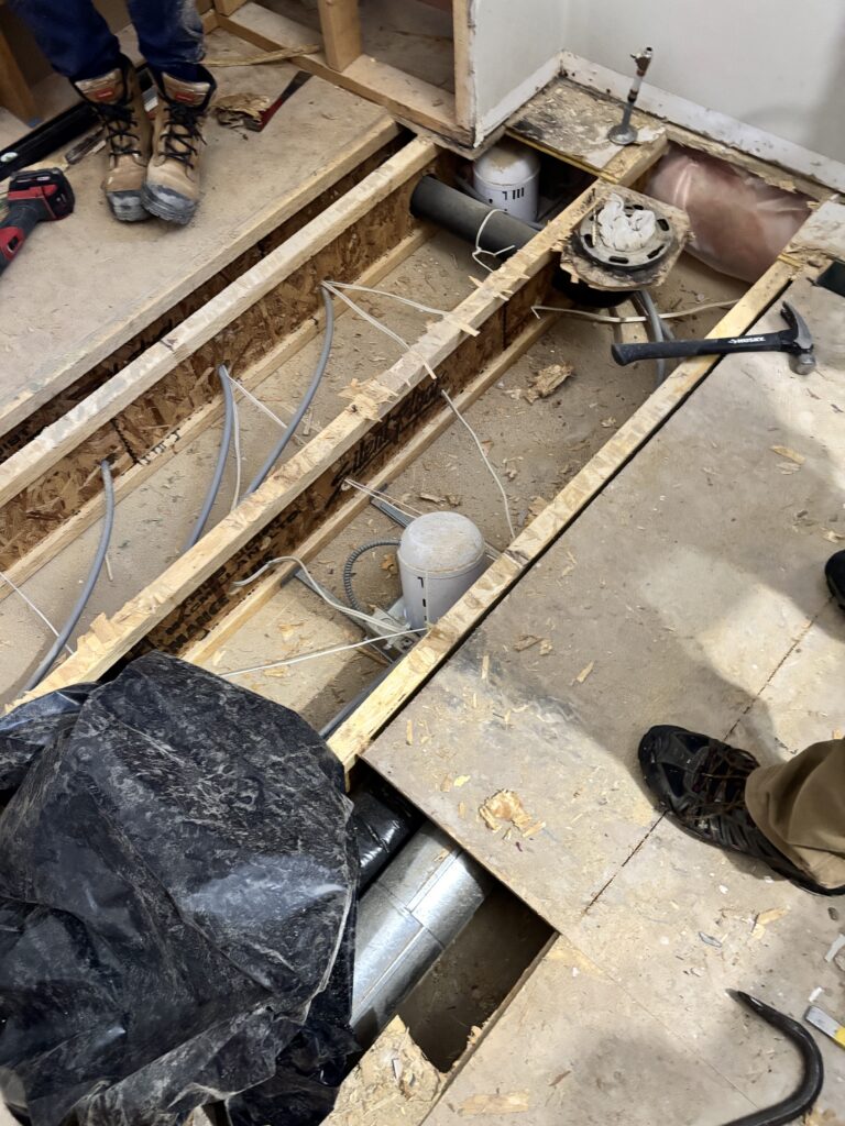 Water Damage On Bathroom Floor with Mold project photo 4